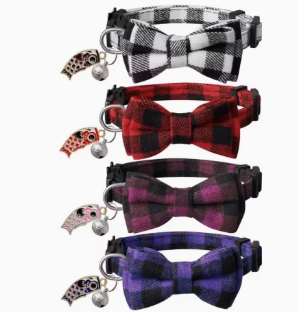 Shop Primary Image Shop Primary Image