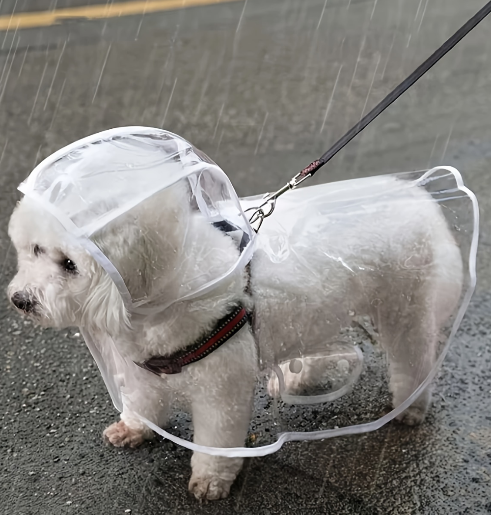 Shop Primary Image Shop Primary Image