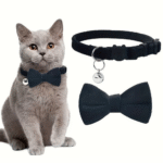 Suggest Product Thumbnail Suggest Product Thumbnail