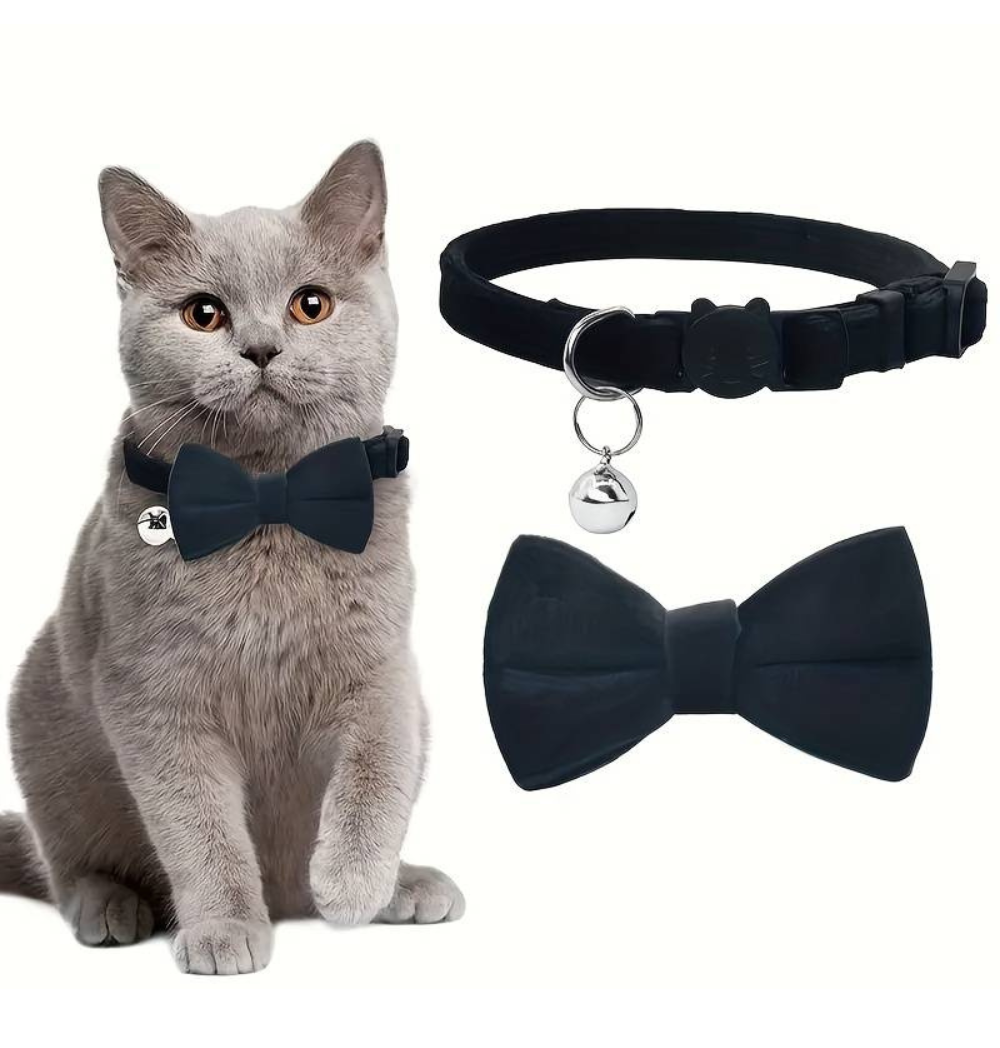 Shop Primary Image Shop Primary Image