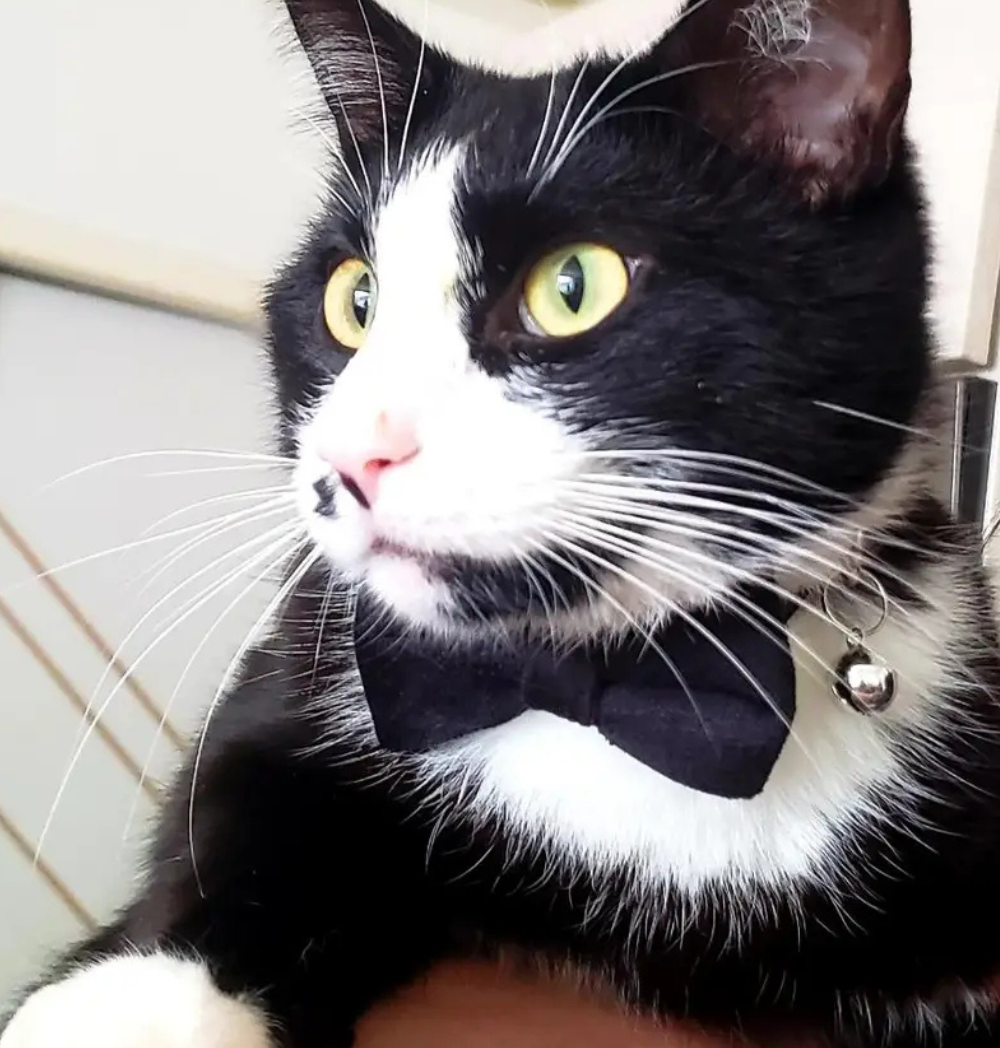 Shop Secondary Image Shop Secondary Image