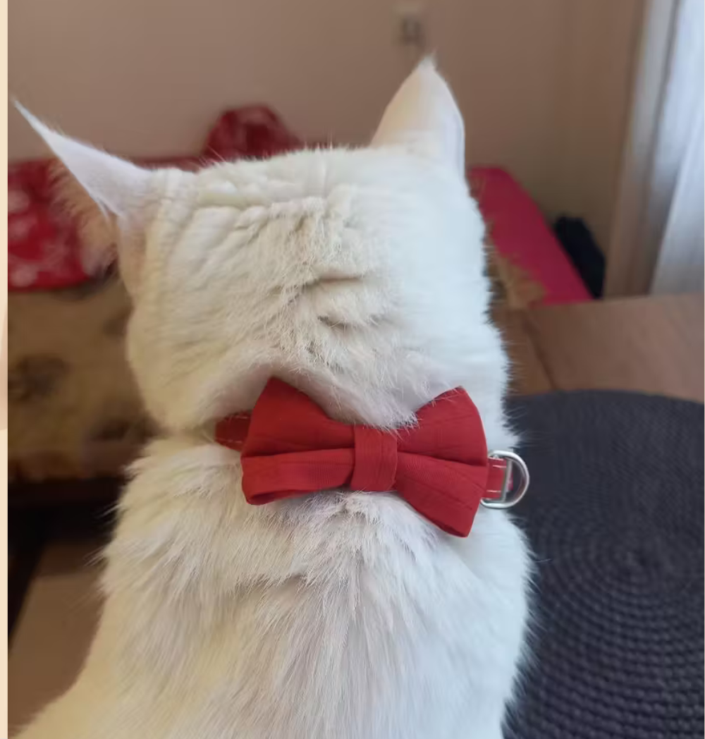 Shop Secondary Image Shop Secondary Image