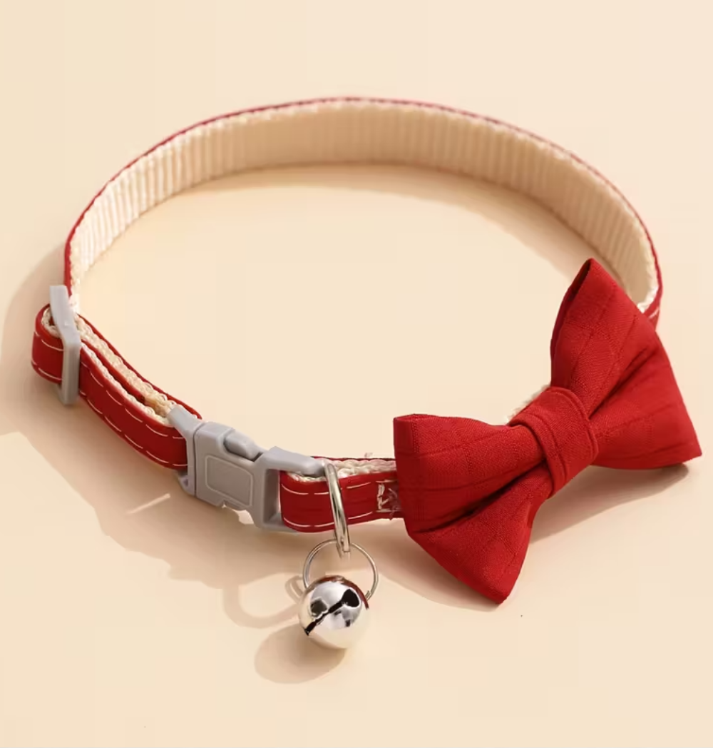 Shop Primary Image Shop Primary Image