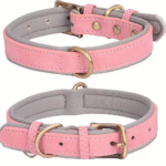 Suggest Product Thumbnail Suggest Product Thumbnail