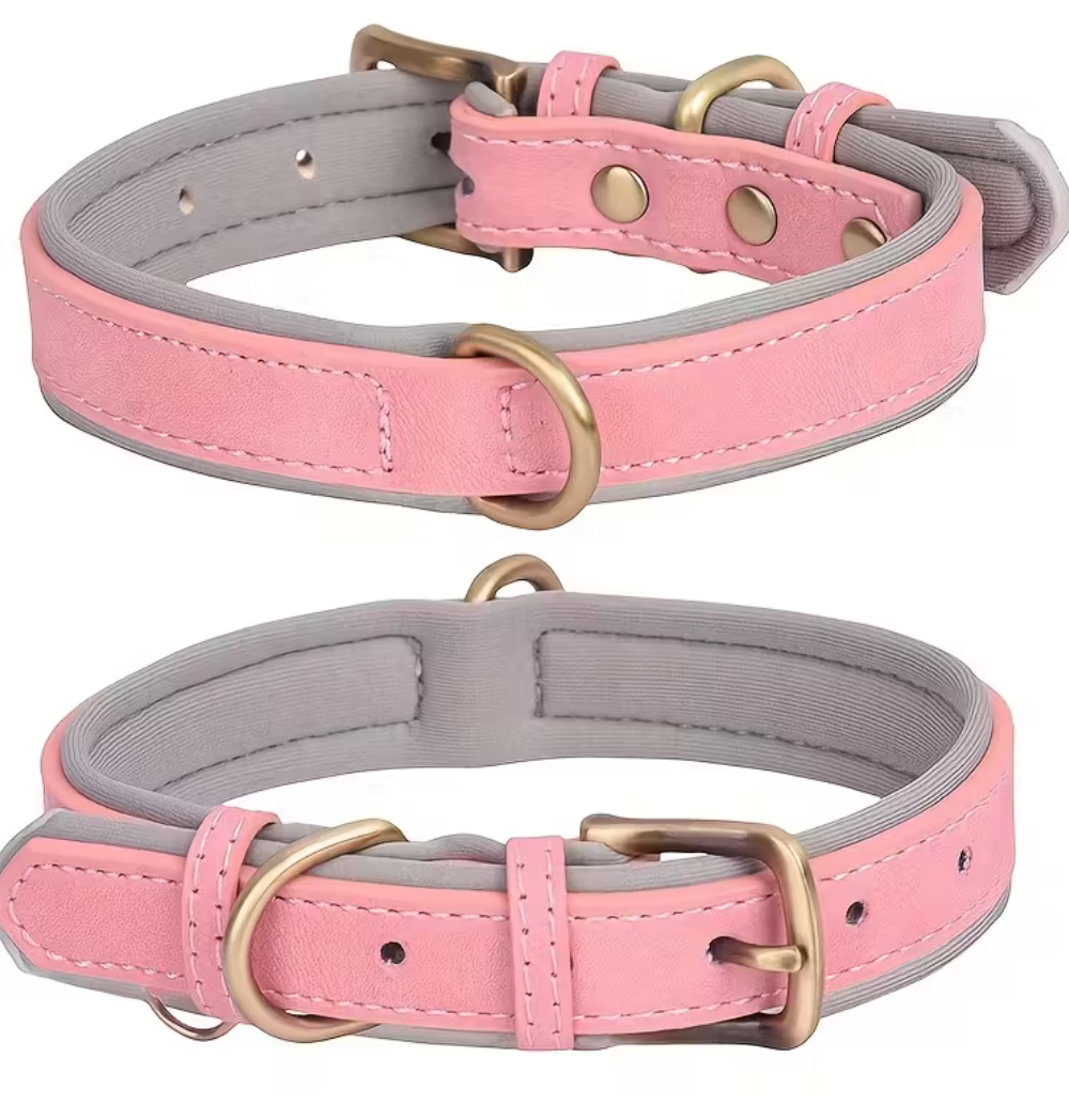 Shop Primary Image Shop Primary Image