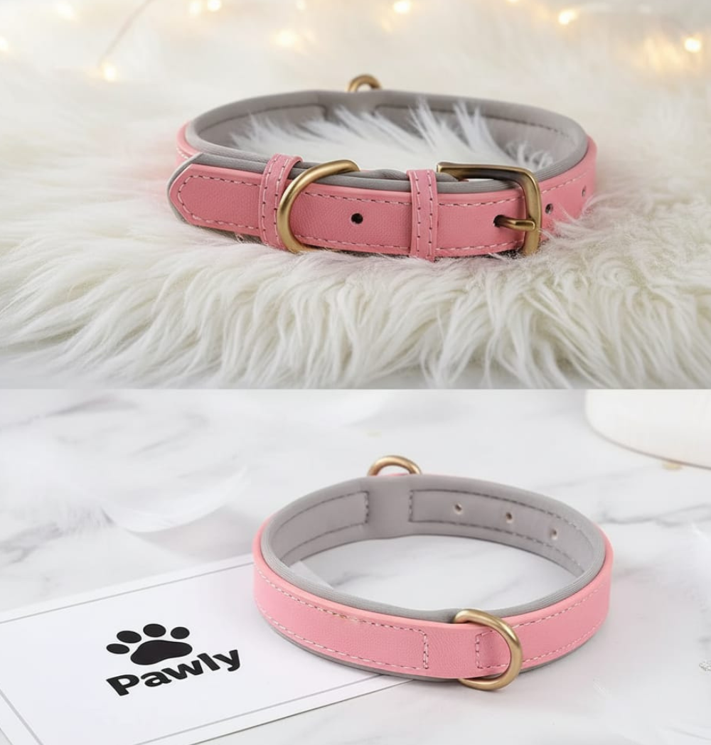 Shop Secondary Image Shop Secondary Image