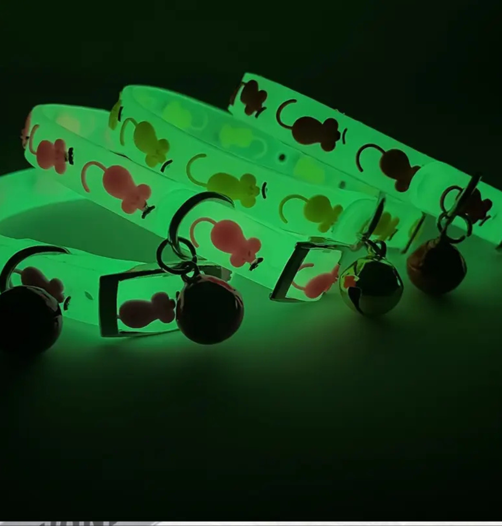 Shop Secondary Image Shop Secondary Image