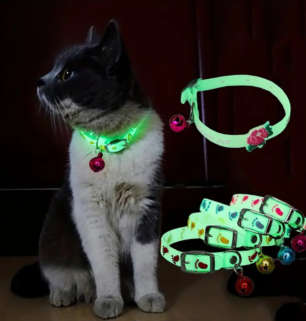 Shop Primary Image Shop Primary Image