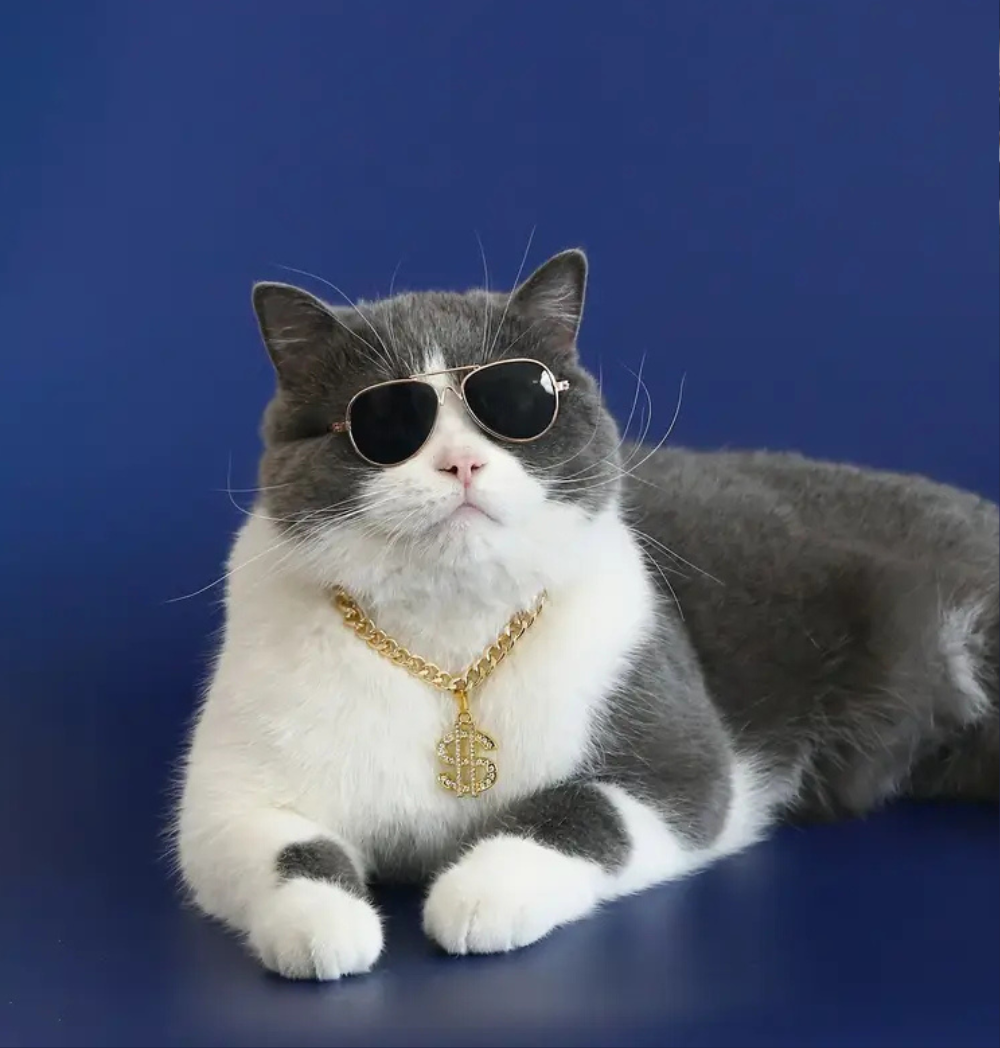 Shop Secondary Image Shop Secondary Image