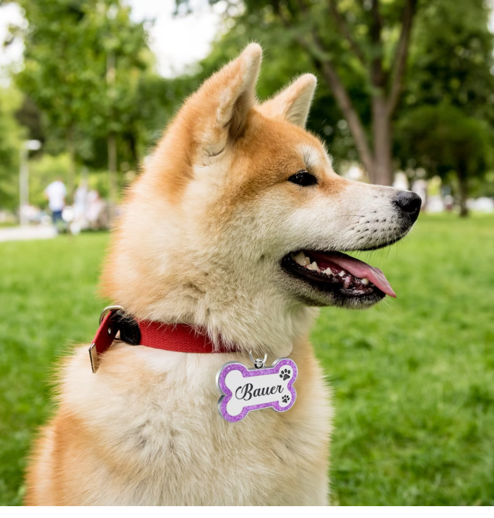 Shop Secondary Image Shop Secondary Image