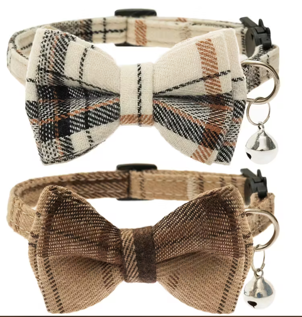 Shop Primary Image Shop Primary Image