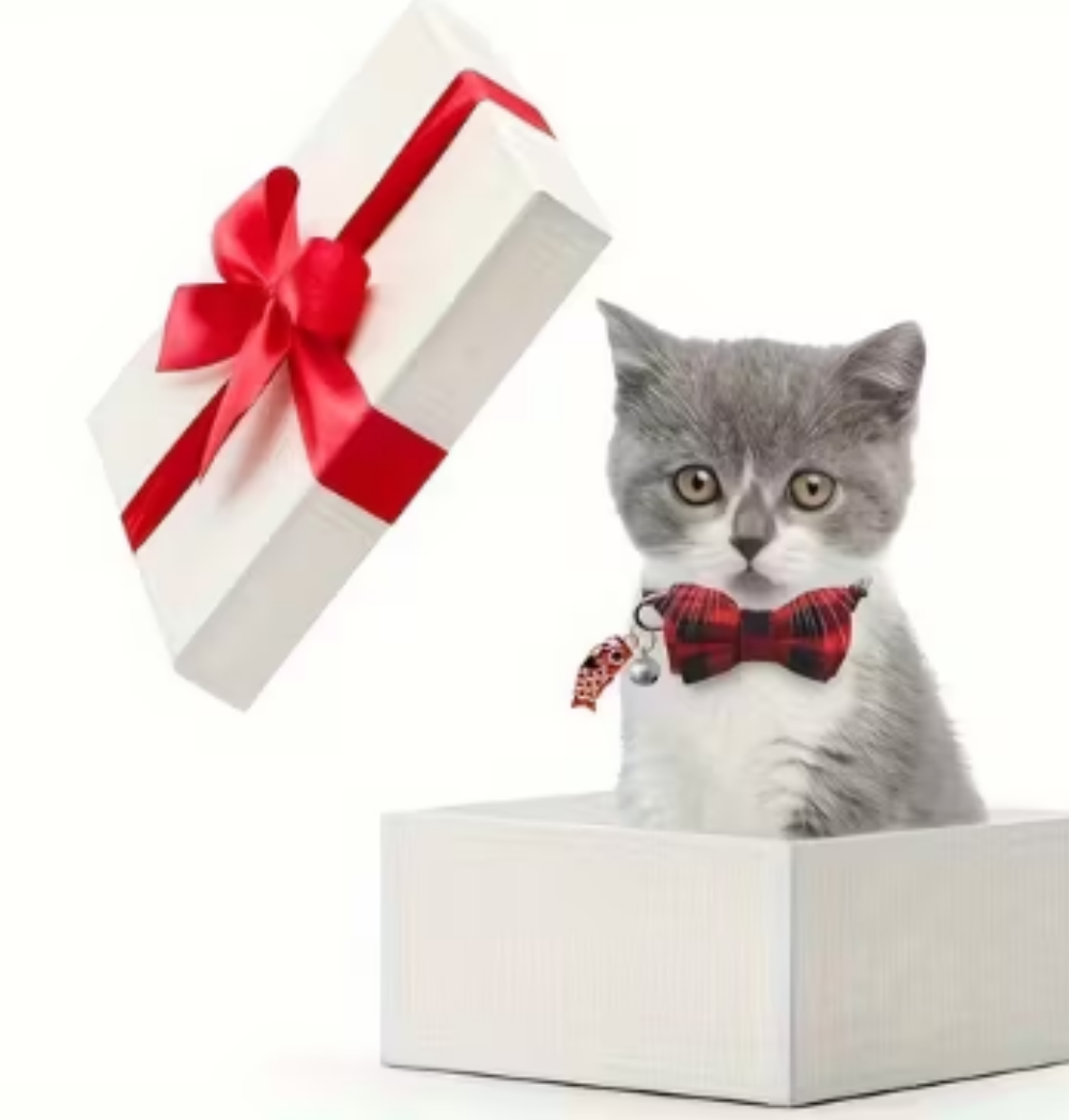 Shop Secondary Image Shop Secondary Image