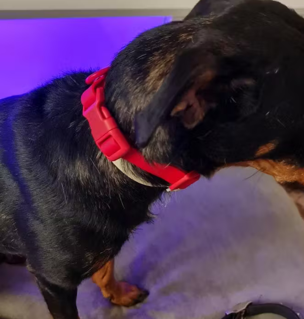 Shop Secondary Image Shop Secondary Image