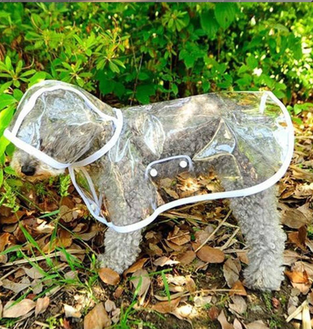 Shop Secondary Image Shop Secondary Image